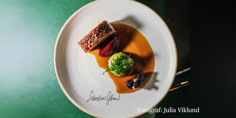 anka-pa-ben-med-rodbeta-svartavinbar