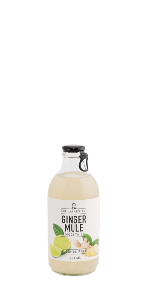 sir-james-101-ginger-mule