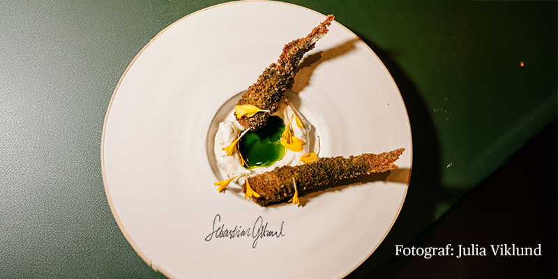 krispig-sikloja-med-nordisk-remoulad